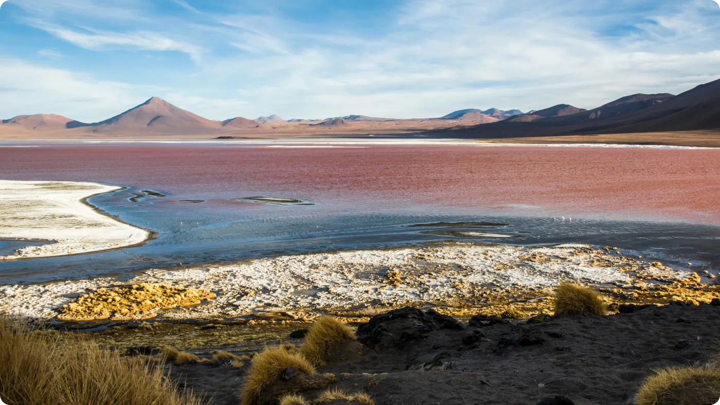 landscape of great salt lake