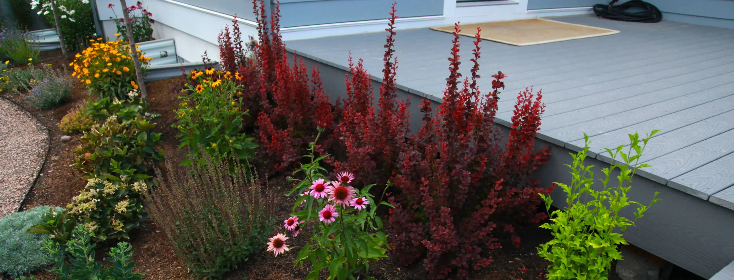 garden landscape with lots of flowers