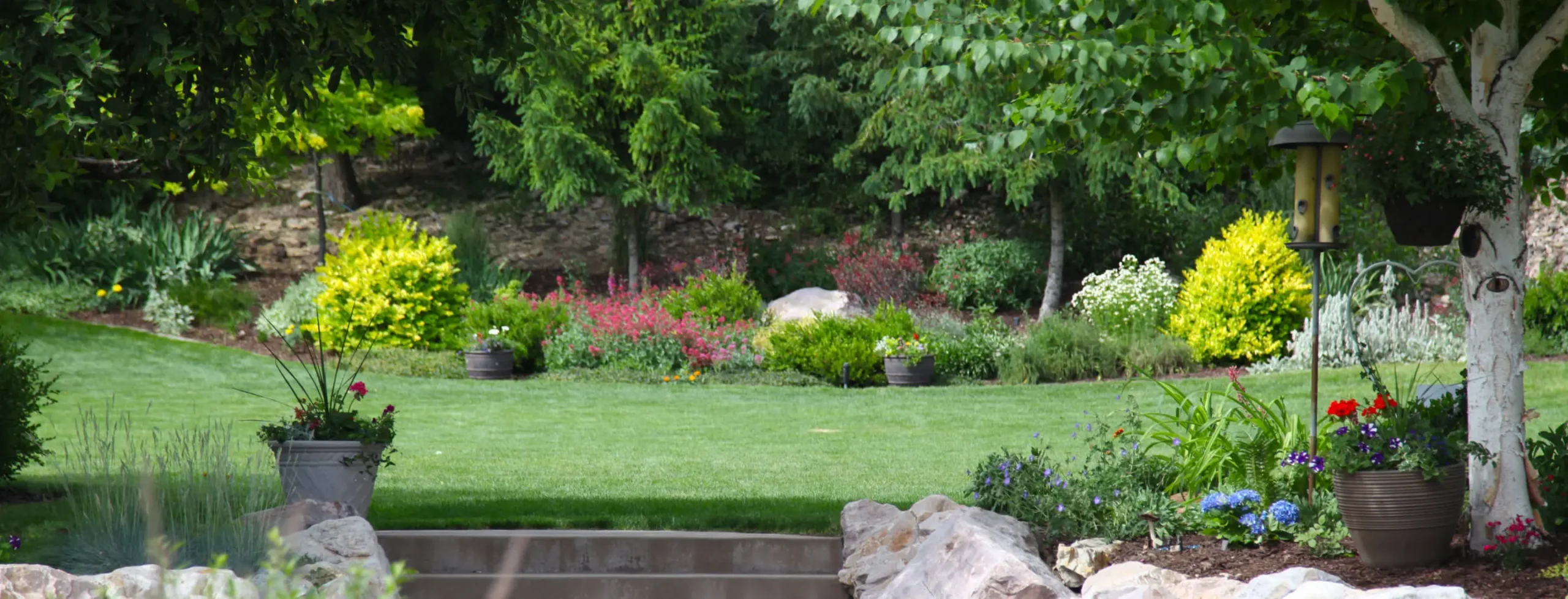 garden landscape