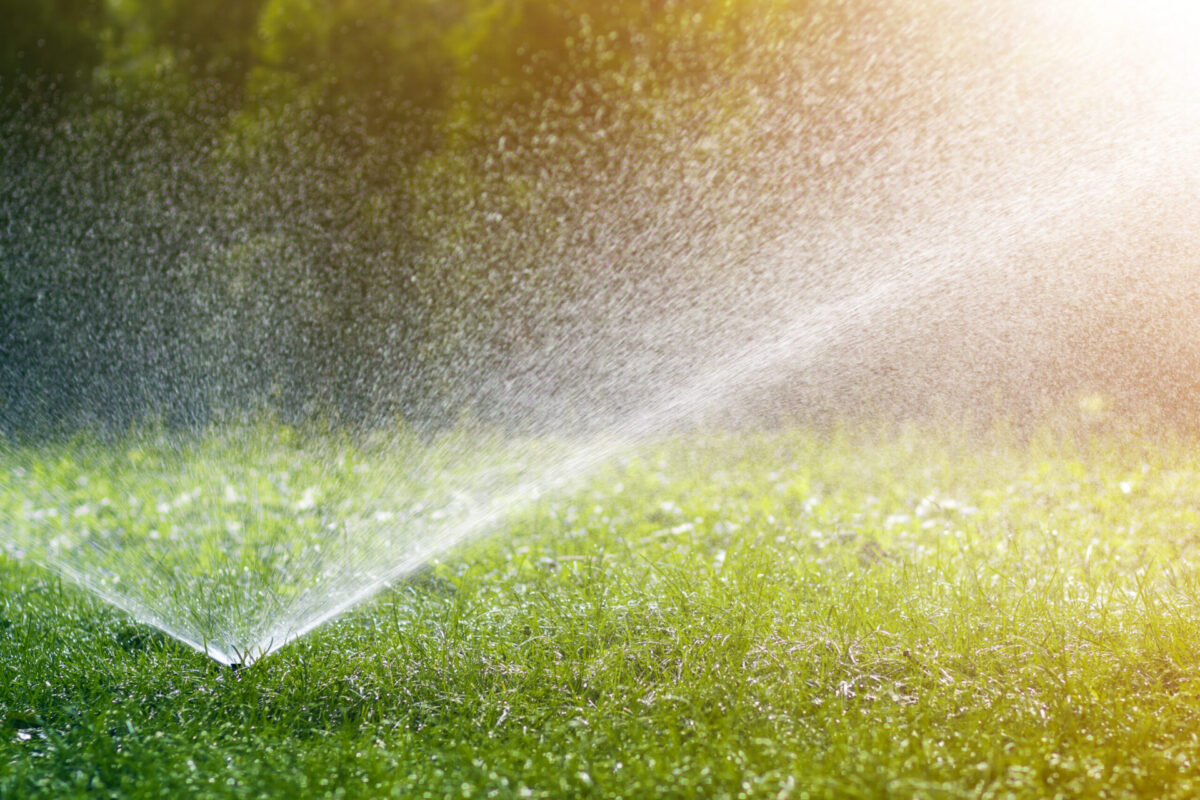 Featured image for “Why Wait Till May 15 to Water?”