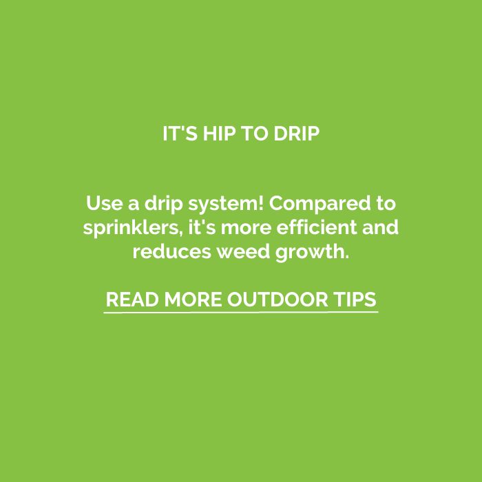 drip-irrigation-tip