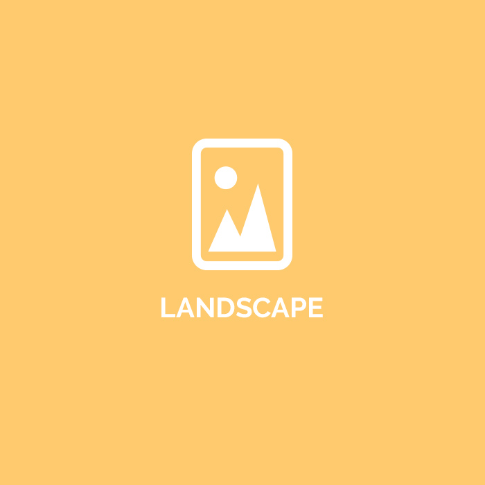landscape–