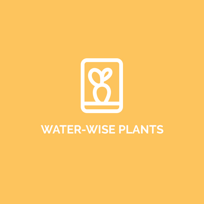 _waterwise-plants